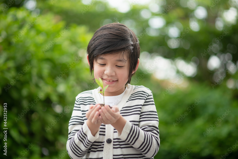 Asian Child Holding Young Plant In Hands With Nature Background Asian Child Holding Young Plant In Hands With Nature Background