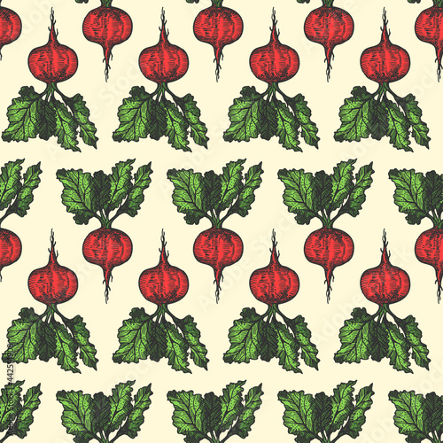 Beet Pattern Drawn. Vintage Background. Vector