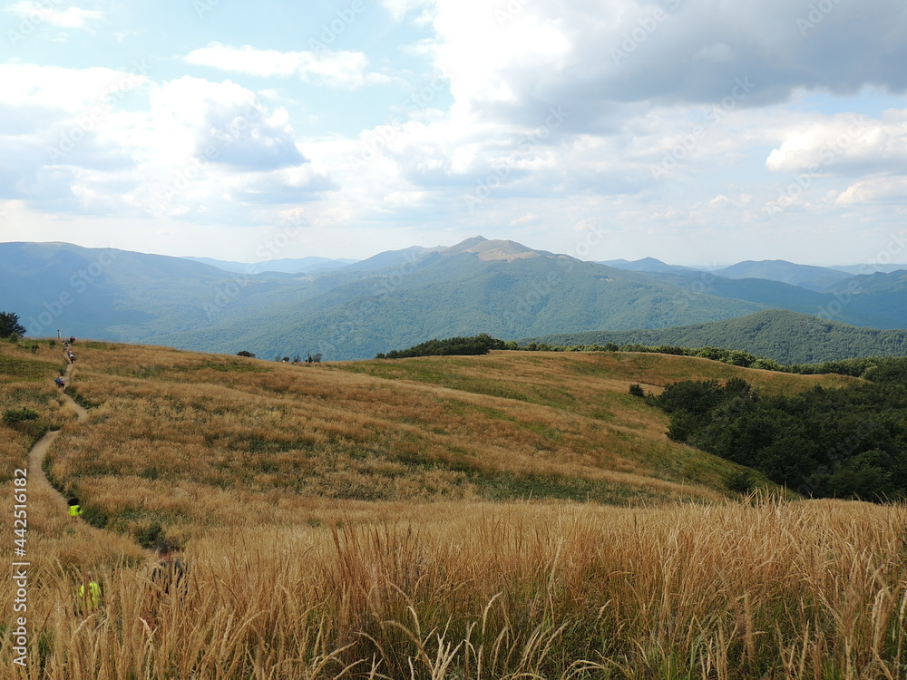 landscape landscape