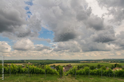 rheinhessische sommerlandschaft photo