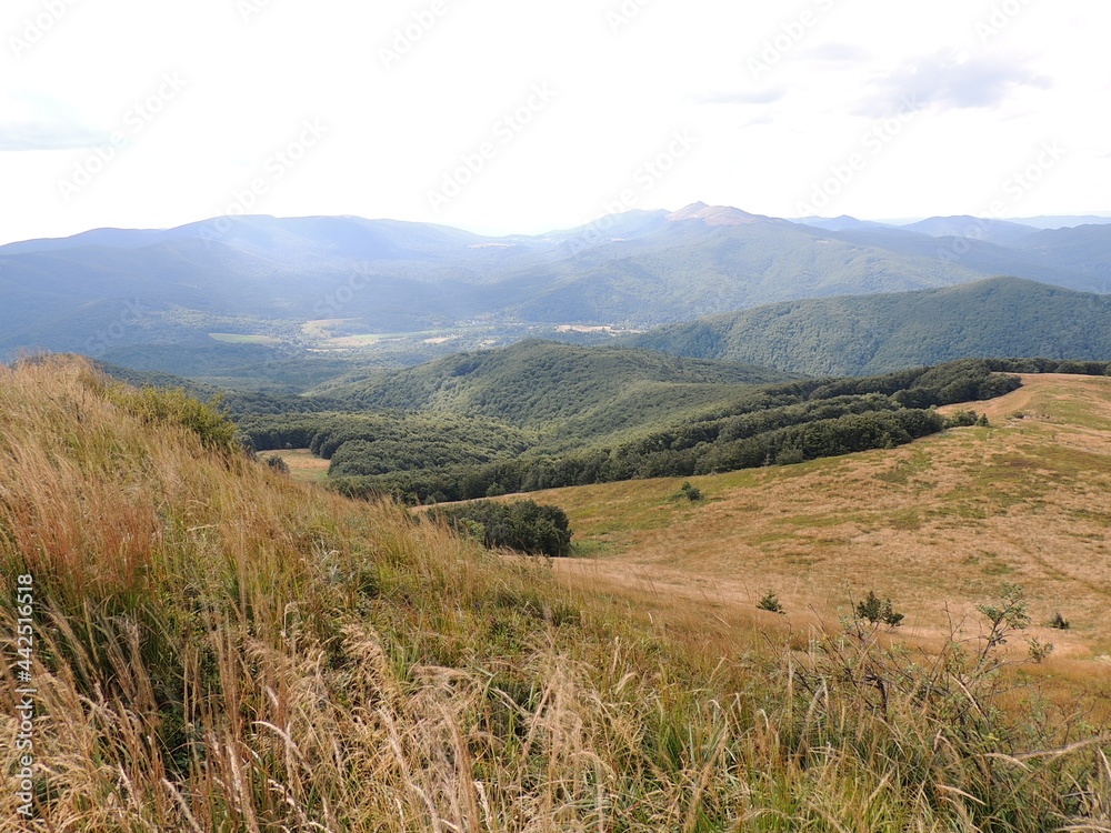 Fototapeta premium landscape