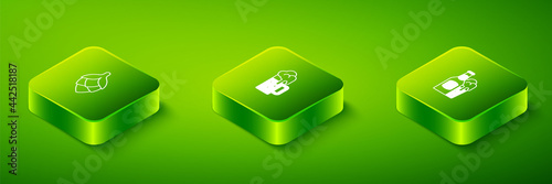 Set Isometric Wooden beer mug, Beer bottle and glass and Hop icon. Vector