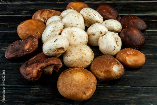 side view of various types of fresh mushrooms on dark rustic wooden background