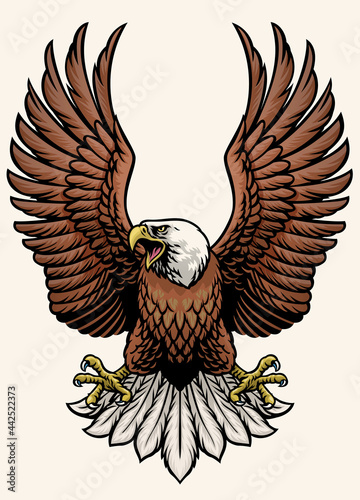angry bald eagle in hand drawn style