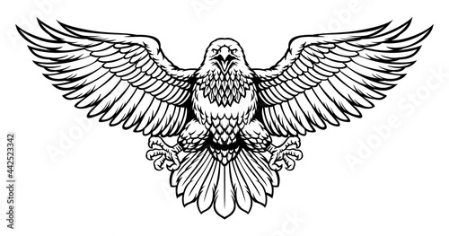 black and white eagle spreading the big wings