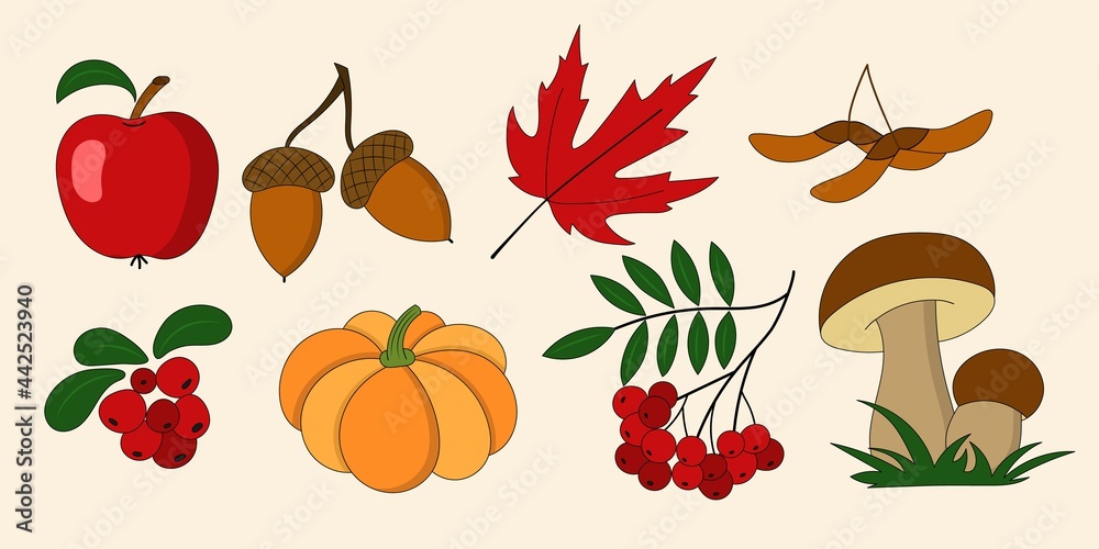 Autumn set of natural elements