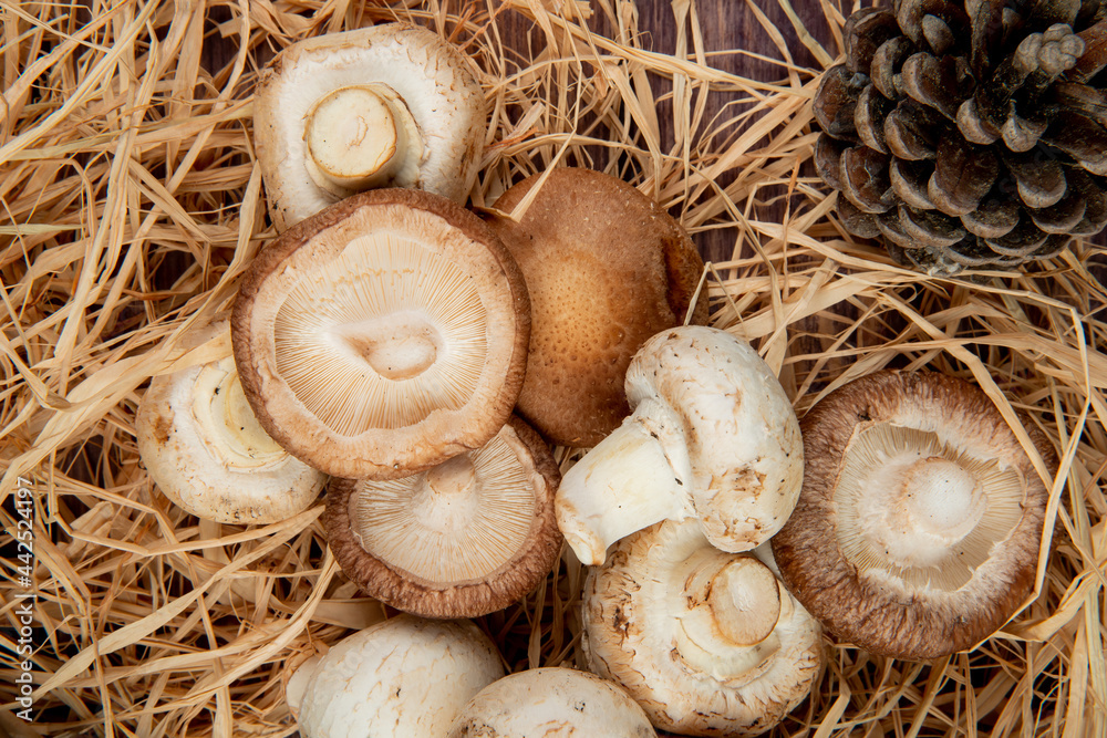 top view of fresh mushrooms and cones on straw on rustic background