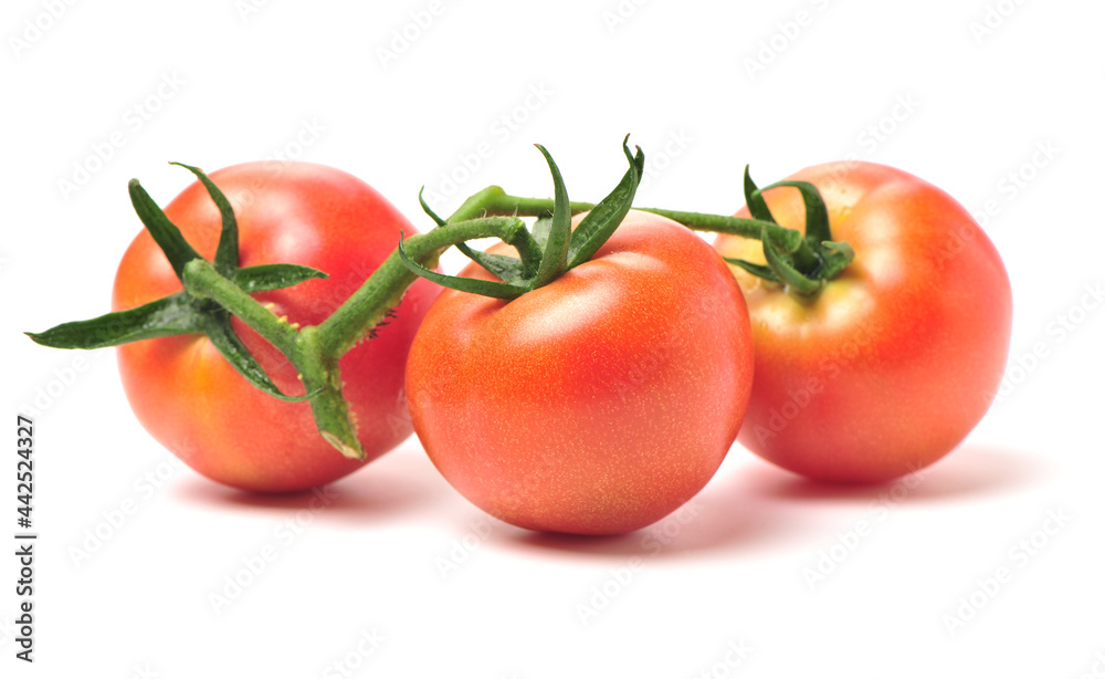 fresh tomato isolated on white background fresh tomato isolated on white background