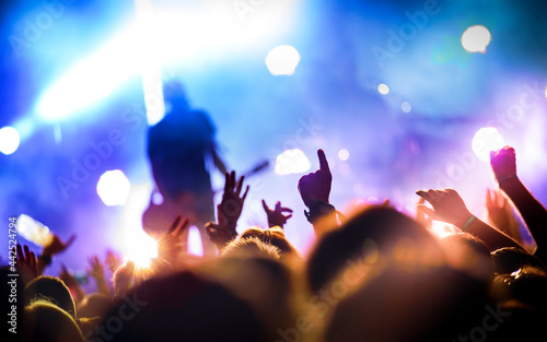 crowd at concert, music festival with silhouettes of the audience