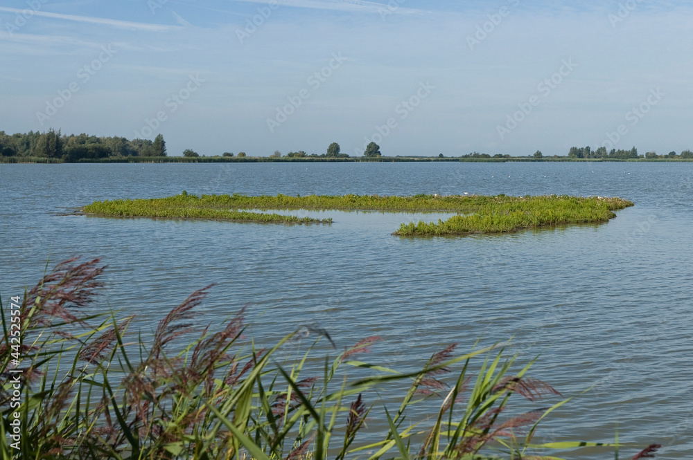 Uitzicht over Oostvaardersplassen, Overview of Oostvaardersplassen Uitzicht over Oostvaardersplassen, Overview of Oostvaardersplassen