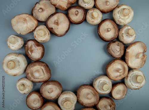 top view of fresh mushrooms isolated on light blue background