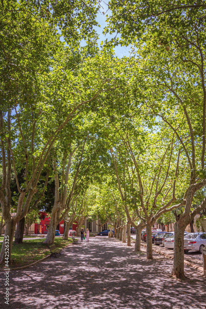 Plaza (Square) Ruiz de Arellano in San Antonio de Areco, Buenos Aires Province, Argentina  