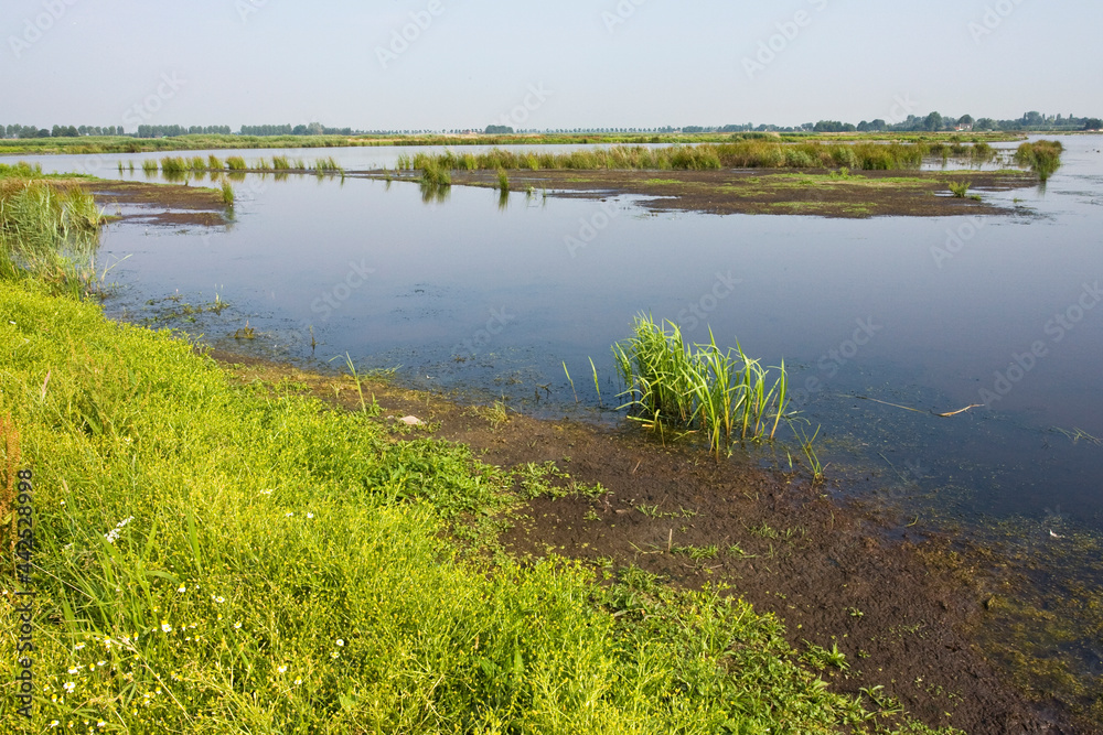 Groene Jonker, Zevenhoven, Netherlands