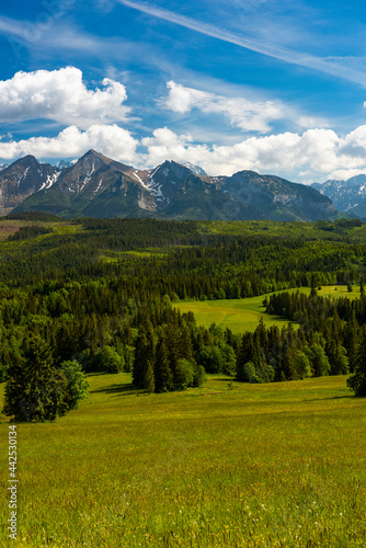 Tatra Mountains Landscape in Summer