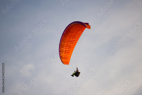 Wallpaper Mural Paragliding Against the Sky in Switzerland. Torontodigital.ca