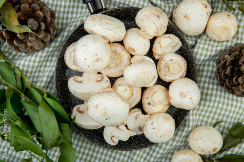 top view of fresh white mushrooms on a frying pan and cones with green leaves on plaid fabric background