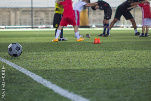 Fototapeta Naklejka Na Ścianę i Meble -  Soccer ball tactics on grass field with children warm up
