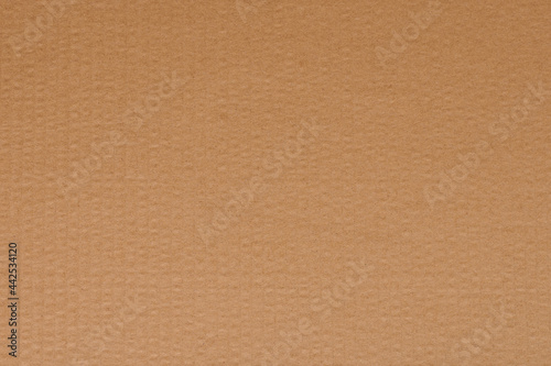Beige color paper with lines