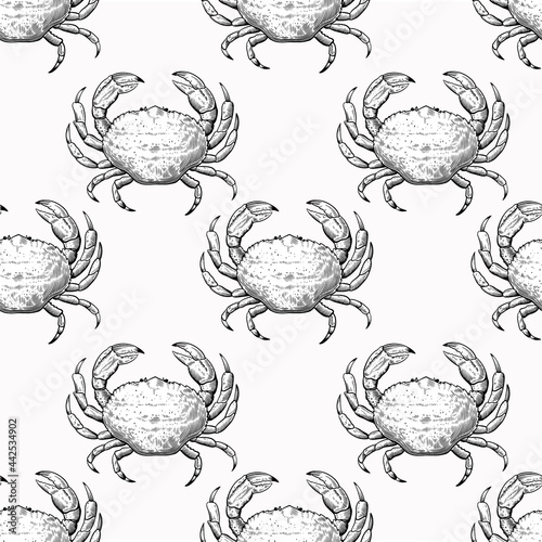 Vintage seamless pattern with hand drawn crabs in sketch engraving style. Sea food print for textile and wrapping paper.