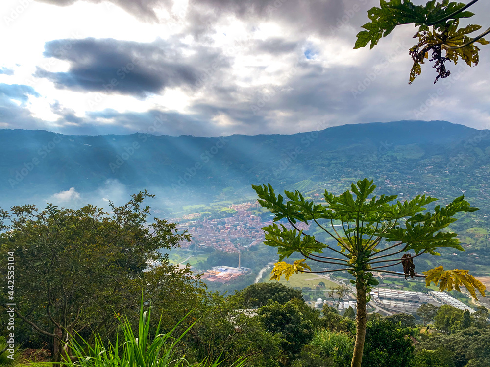 Obraz premium landscape with sky