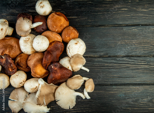 top view of various types of fresh mushrooms on dark rustic wooden background with copy space