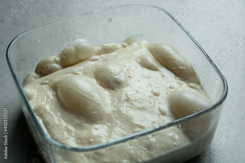 Artisan bread sourdough dough rising with bubles. Raw dough for bread or pizza.