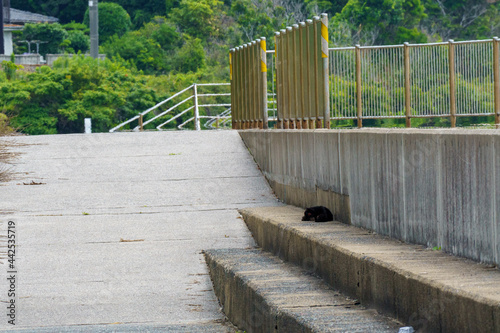 海岸沿いの防波堤と歩道