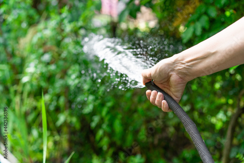 Watering plants with water in the garden