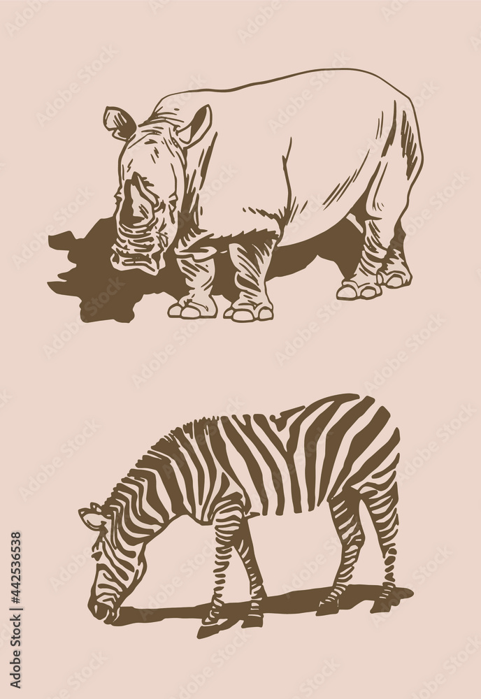 Fototapeta premium Vector vintage rhino and zebra,African animals sepia background