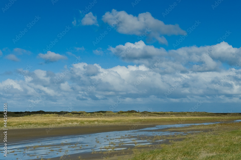 Getijdengebied, Tidal plains