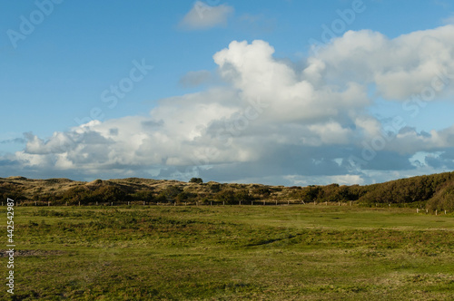 Weiland op Vlieland  Meadow at Vlieland