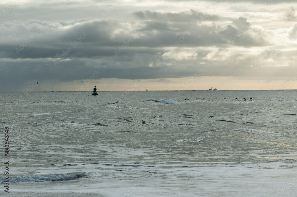 Waddenzee, Wadden Sea