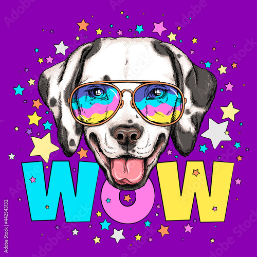 Cute dalmatian dog head on a background of stars. WOW illustration. Image for printing on any surface	