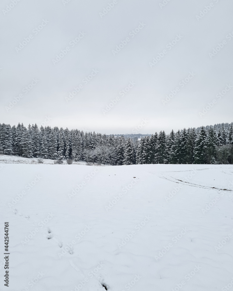 Snow Snow