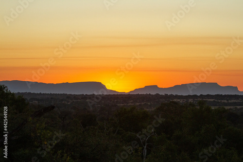 bushveld landscape