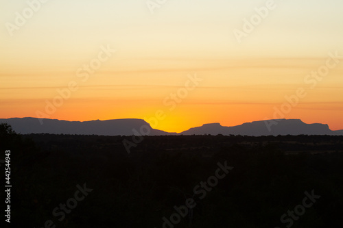 bushveld landscape photo