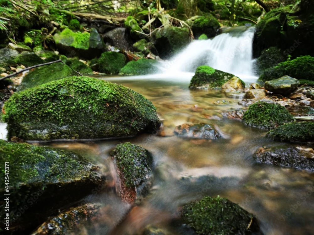 waterfall in the forest