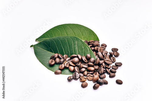 coffee lovers and coffee beans on a white background with a green leaf.