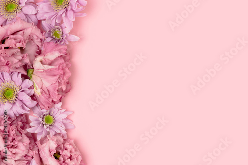 Eustoma and aster flower texture on a pink pastel background with copyspace. Greeting card concept for springtime holidays. Floral frame.
