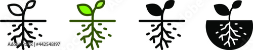 root icon , vector illustration