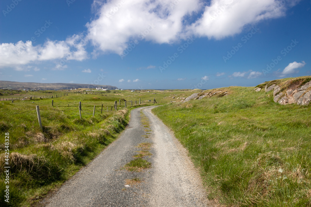Path in a Connemara field. Galway. Ireland. Landscape