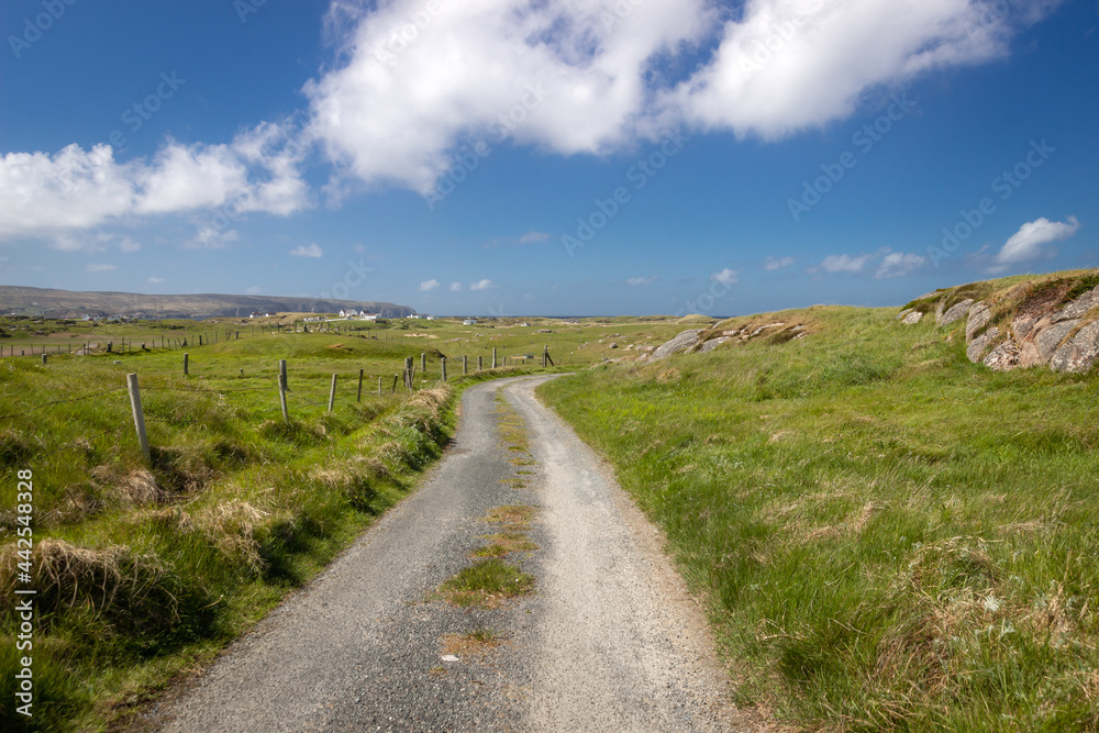 Path in a Connemara field. Galway. Ireland. Landscape Path in a Connemara field. Galway. Ireland. Landscape