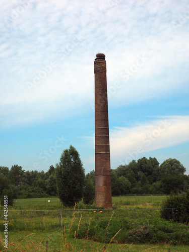 Chimney is all that left of an damaged stone factory, Bommelerwaard, Netherlands. On the chimney is a stork nest. 