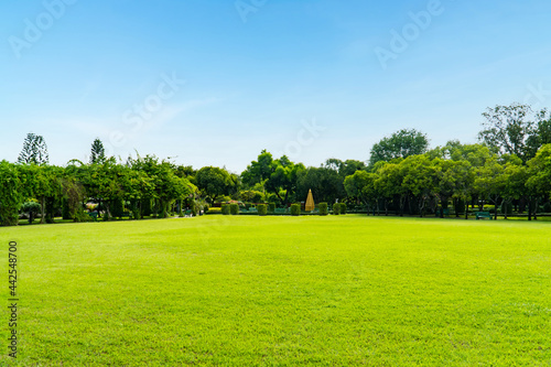 Beautiful park scene in public park with green grass field, green tree plant and cloudy blue sky. Green park and tree in the garden with sunlight background. exercise and relax.