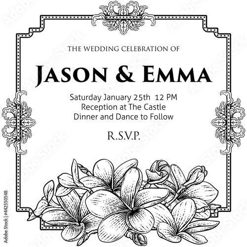 Plumeria Tropical Flower Wedding Invite Background