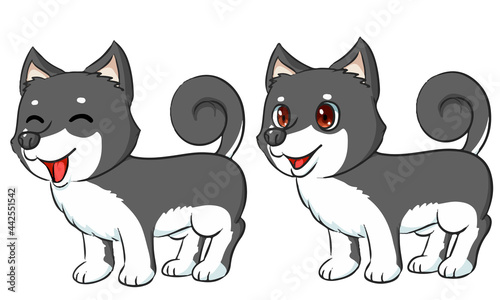 黒柴犬
