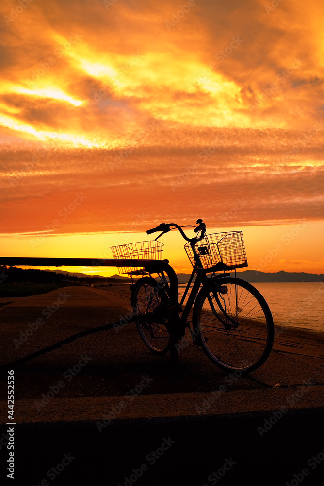 Fototapeta premium 夕陽と自転車