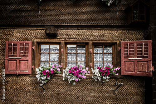 Swiss cottage windows