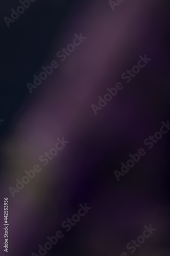Blurry and out of focus dark purple background with copy space for text