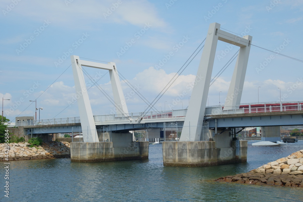 Obraz premium 御前浜橋